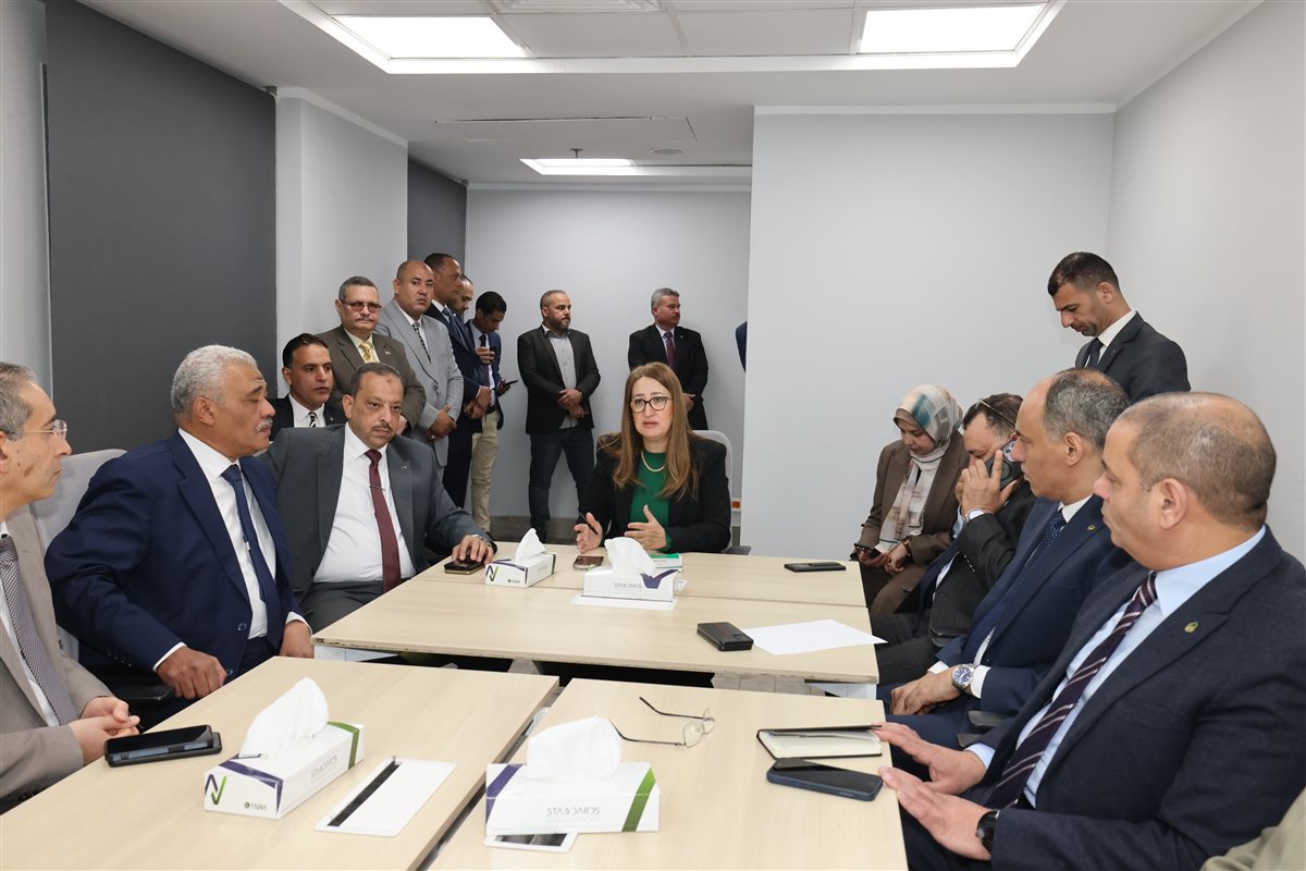 داليا الباز، رئيس مجلس إدارة الهيئة القومية للبريد