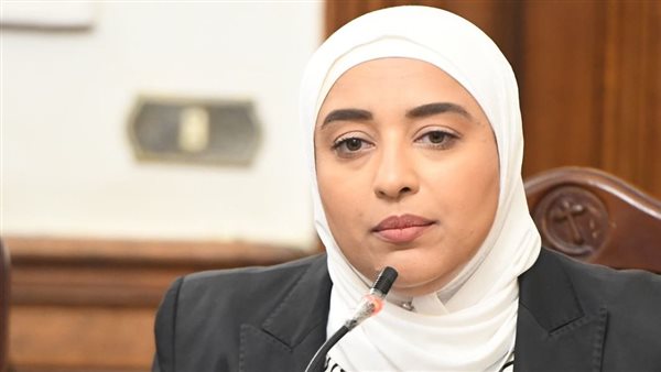 النائبة أميرة أبو شقة، عضو مجلس النواب