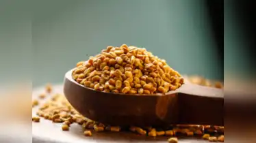 الحلبة