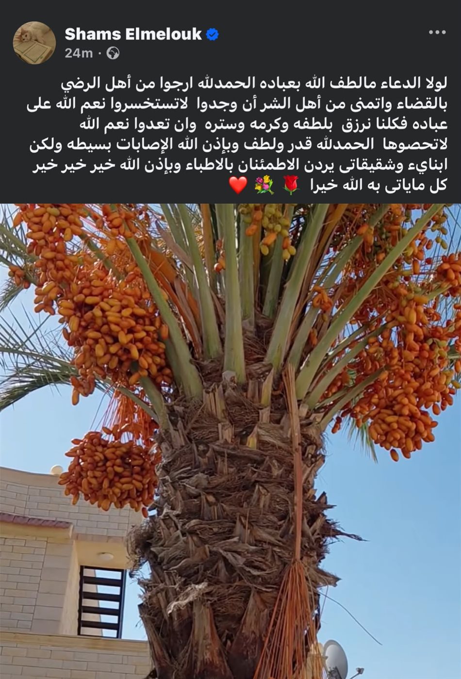 منشور شمس البارودي&nbsp;