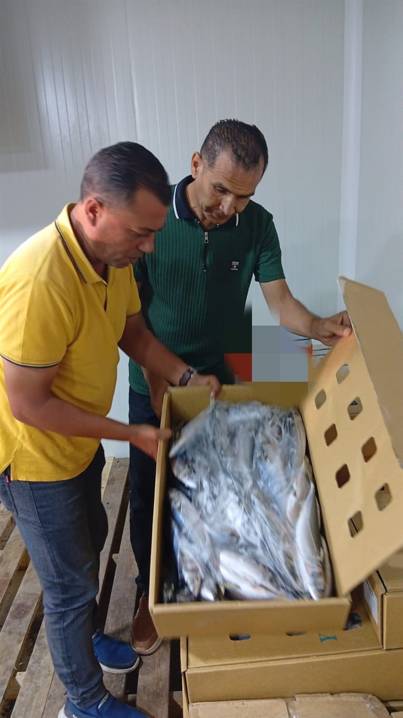 جانب من المضبوطات
