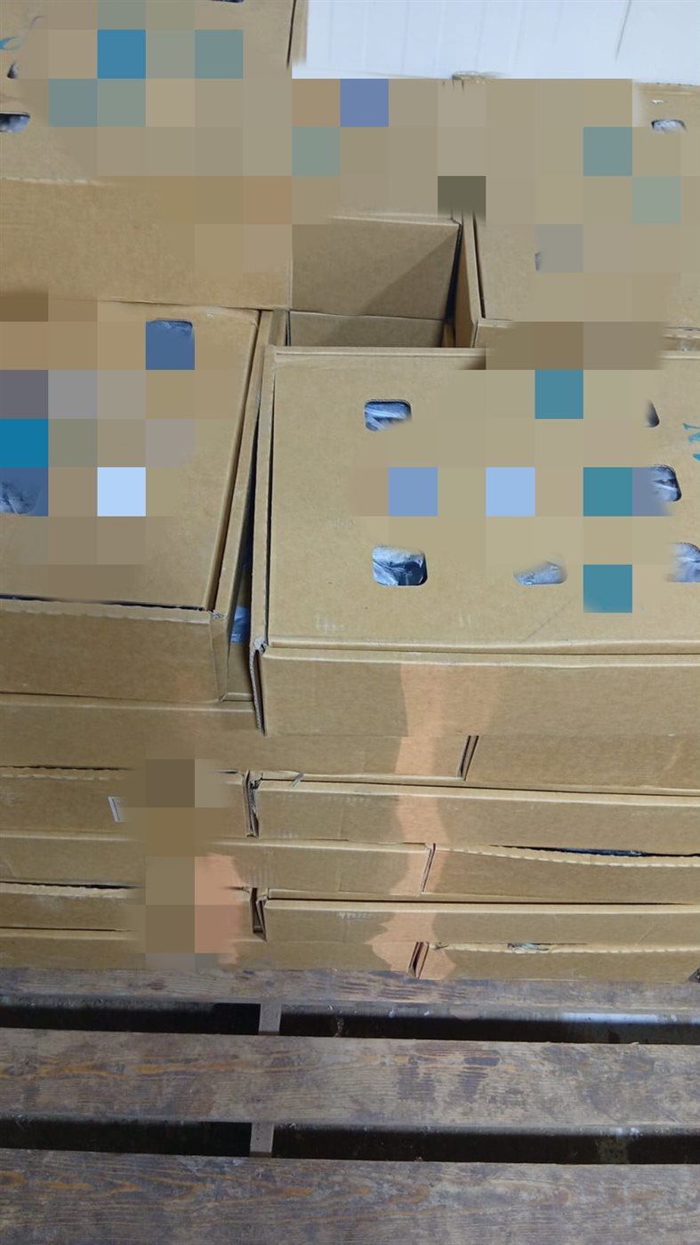جانب من المضبوطات