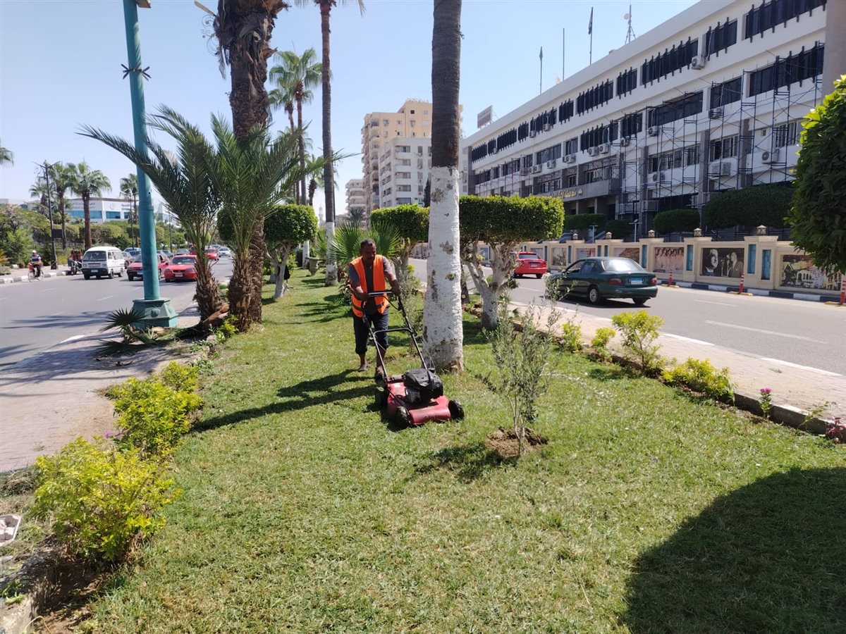 جانب من أعمال التطوير