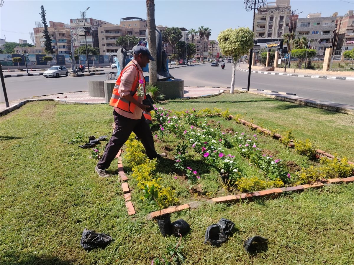 جانب من أعمال التطوير