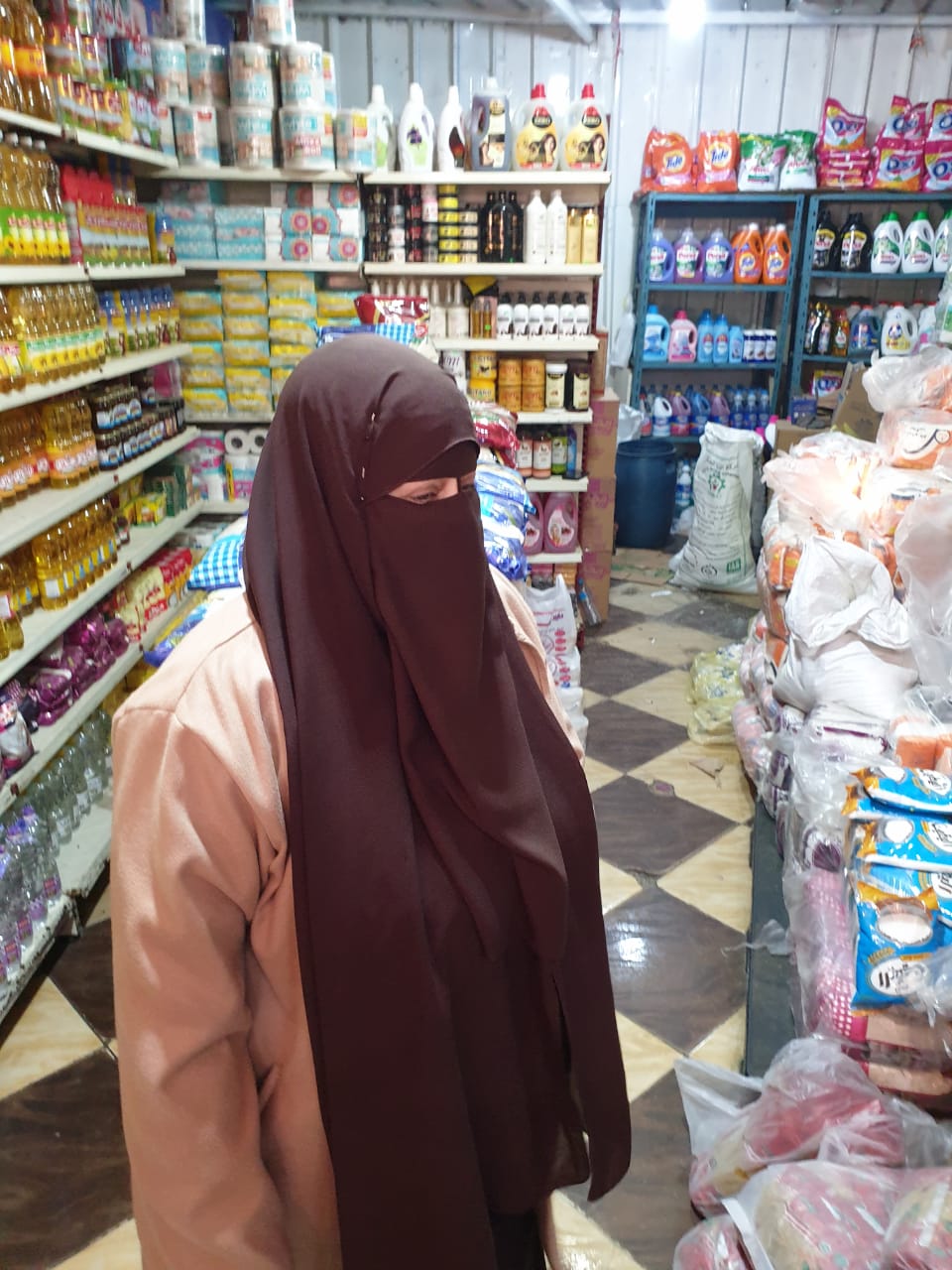 الحملات