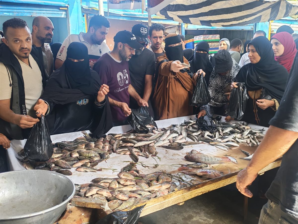 فاعليات المبادرة