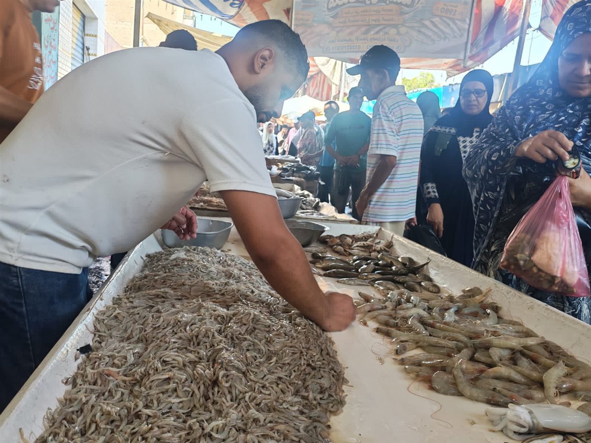 فاعليات المبادرة