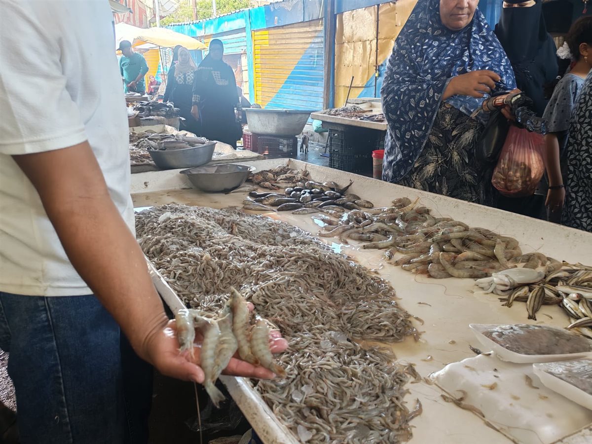 فاعليات المبادرة