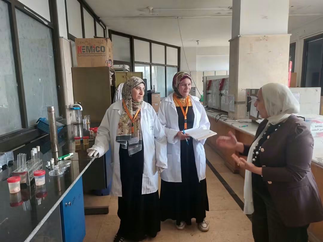 الجولة