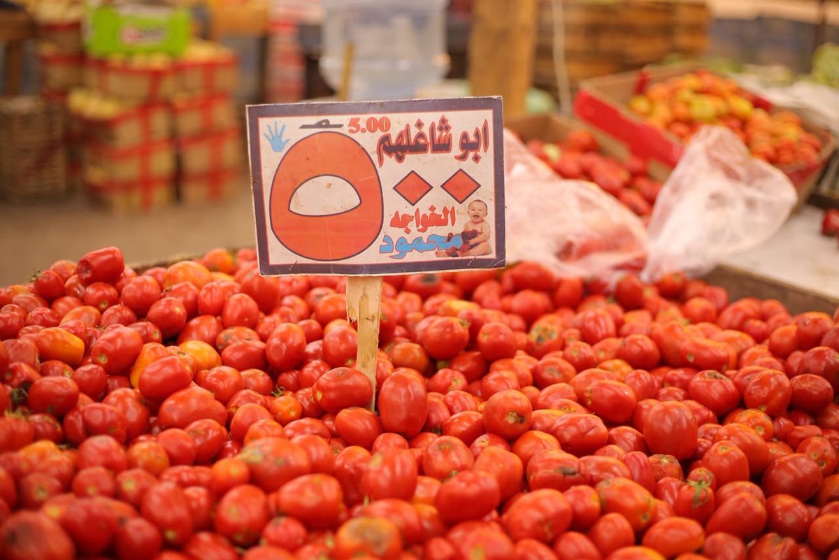 جانب من المبادرة