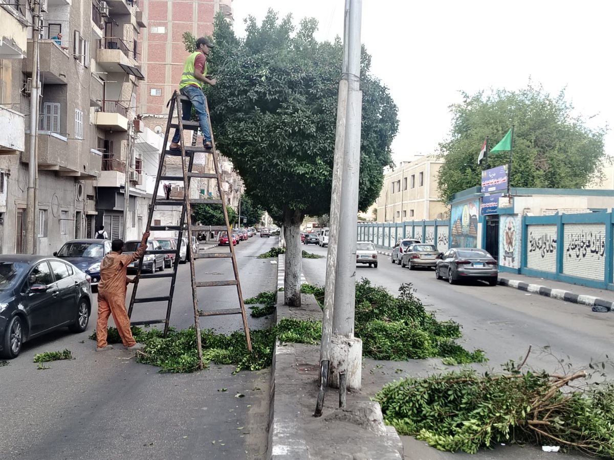 أعمال الصيانة والتجميل