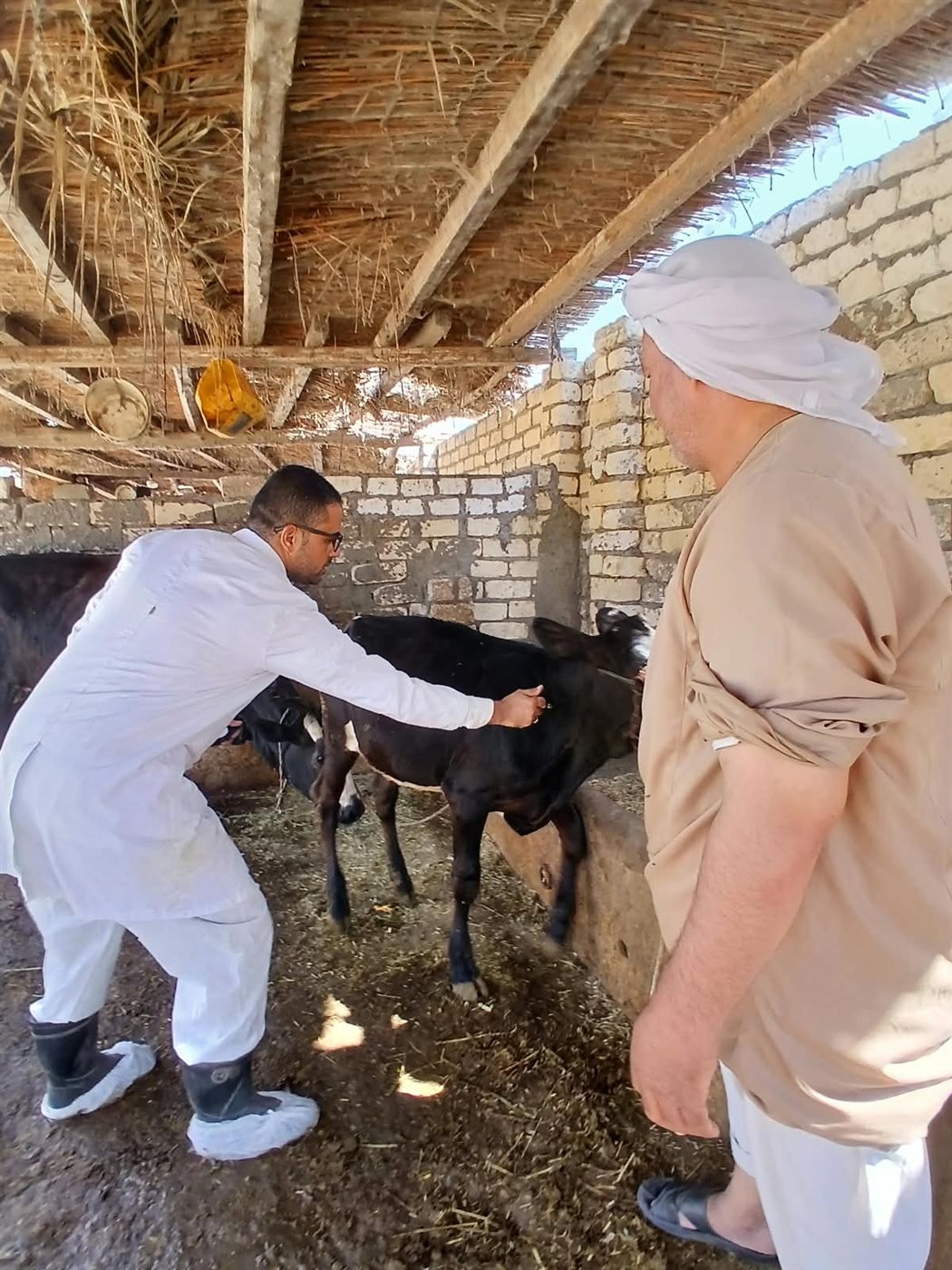 التحصين