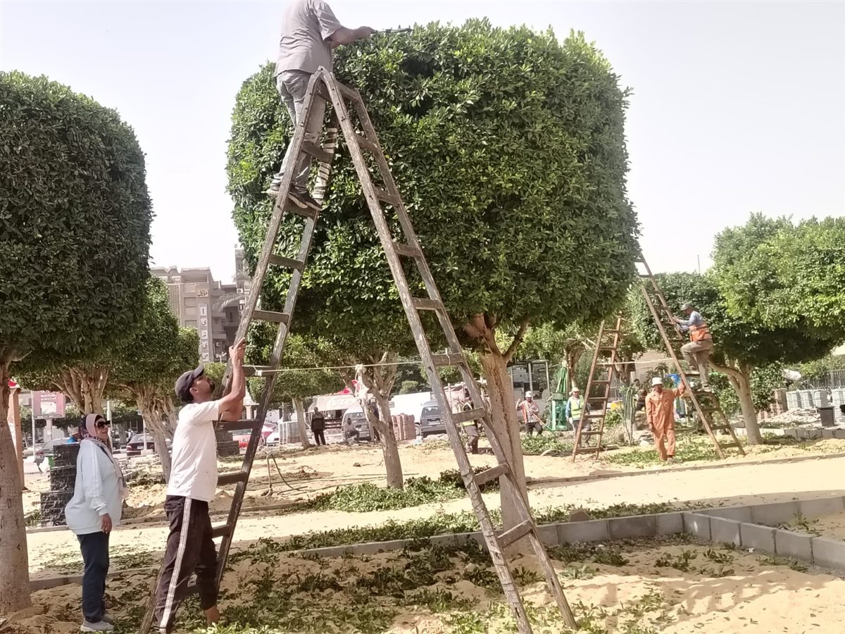 جانب من أعمال التجميل