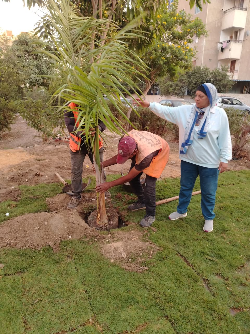 جانب من أعمال إعادة الحديقة