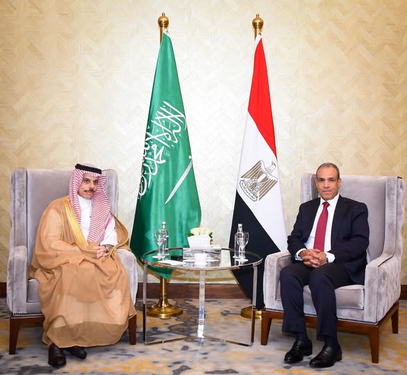 وزيرا الخارجية المصري والسعودي