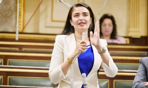 النائبة ايرين سعيد&nbsp;