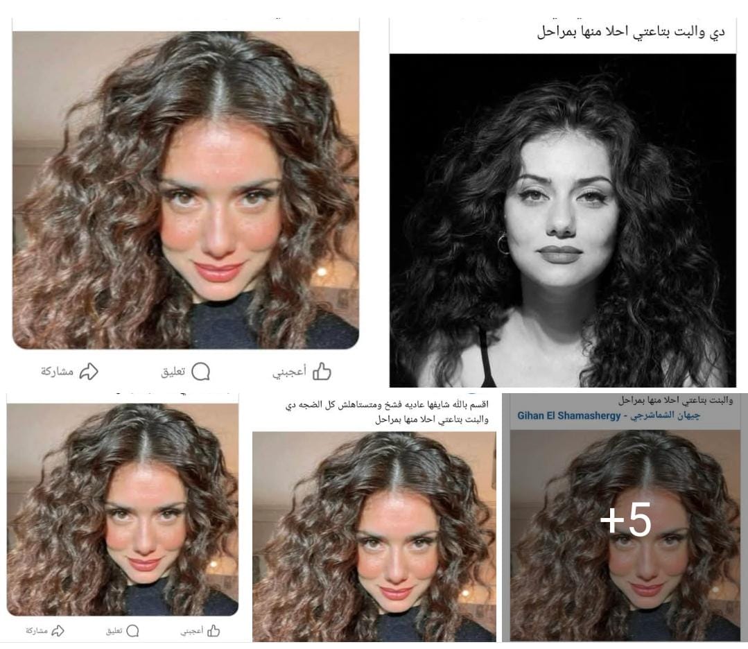 حملات الكترونية على جيهان الشماشرجي