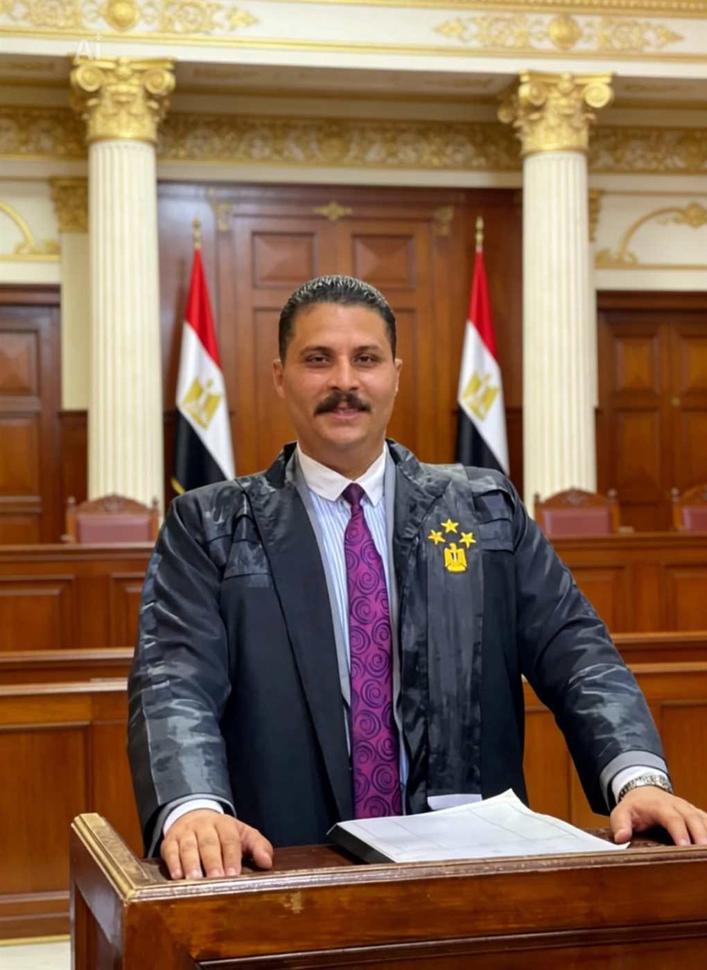 المحامي أحمد المليجي