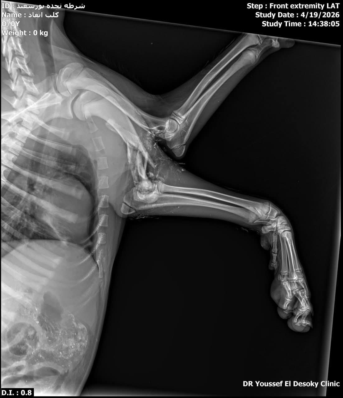 صورة الاشعة