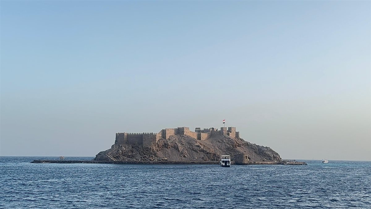 جانب من الزيارة&nbsp;