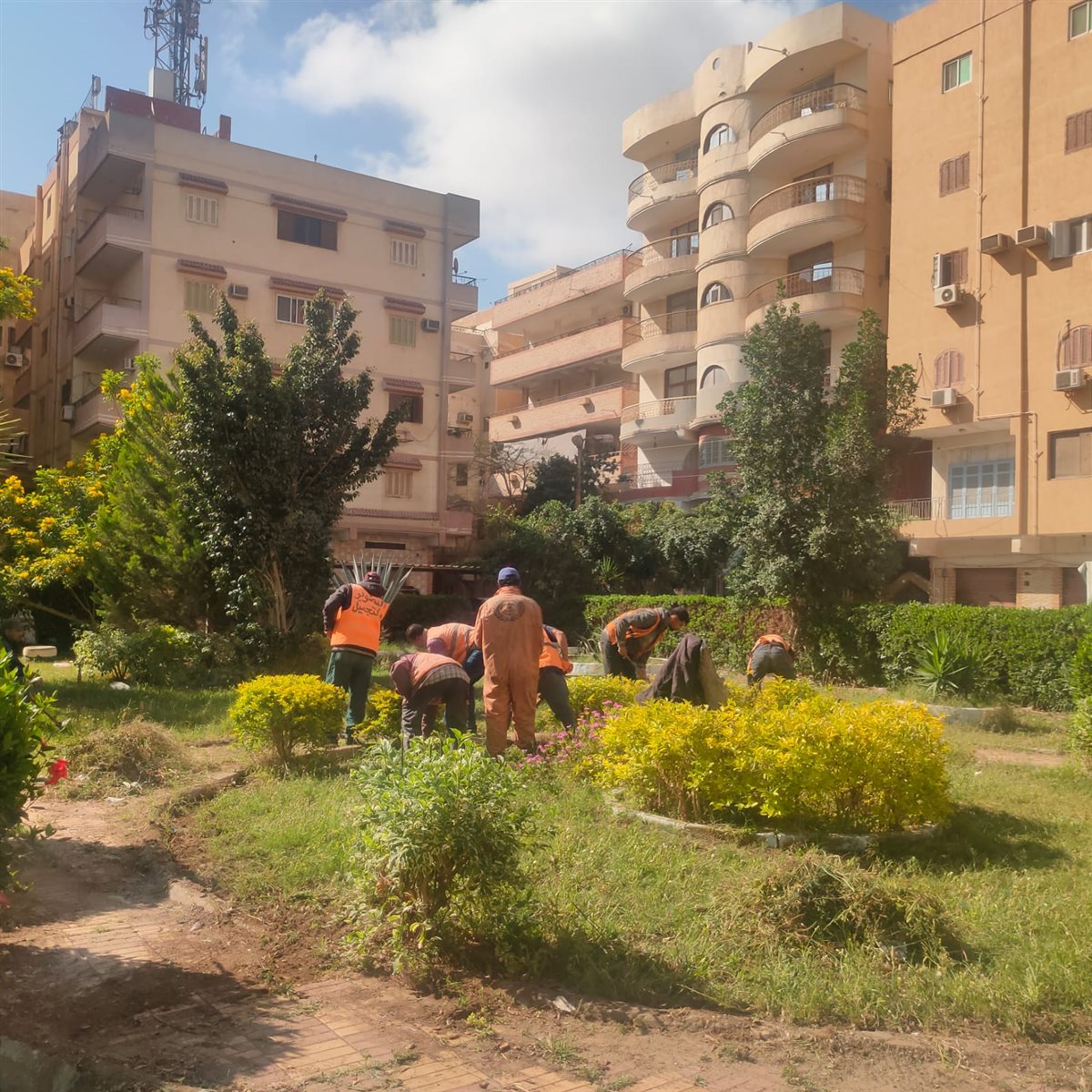 جانب من أعمال التجميل&nbsp;