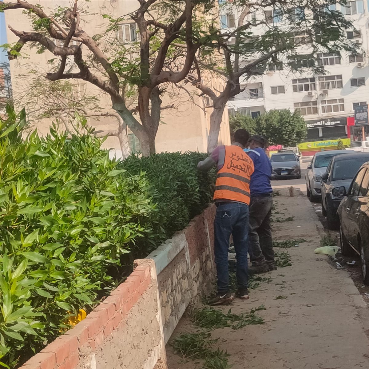 جانب من أعمال التجميل&nbsp;