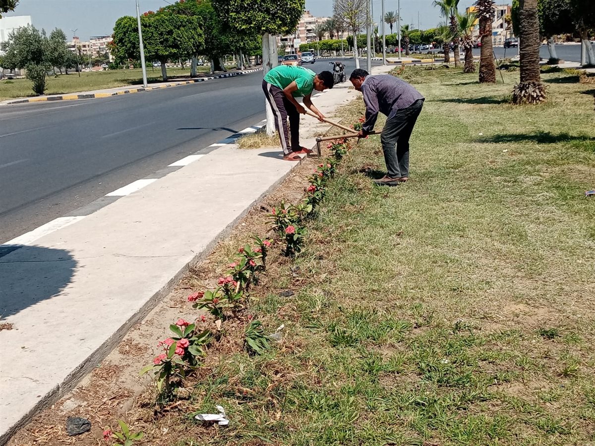 أعمال مبادرة زراعة الأشجار&nbsp;