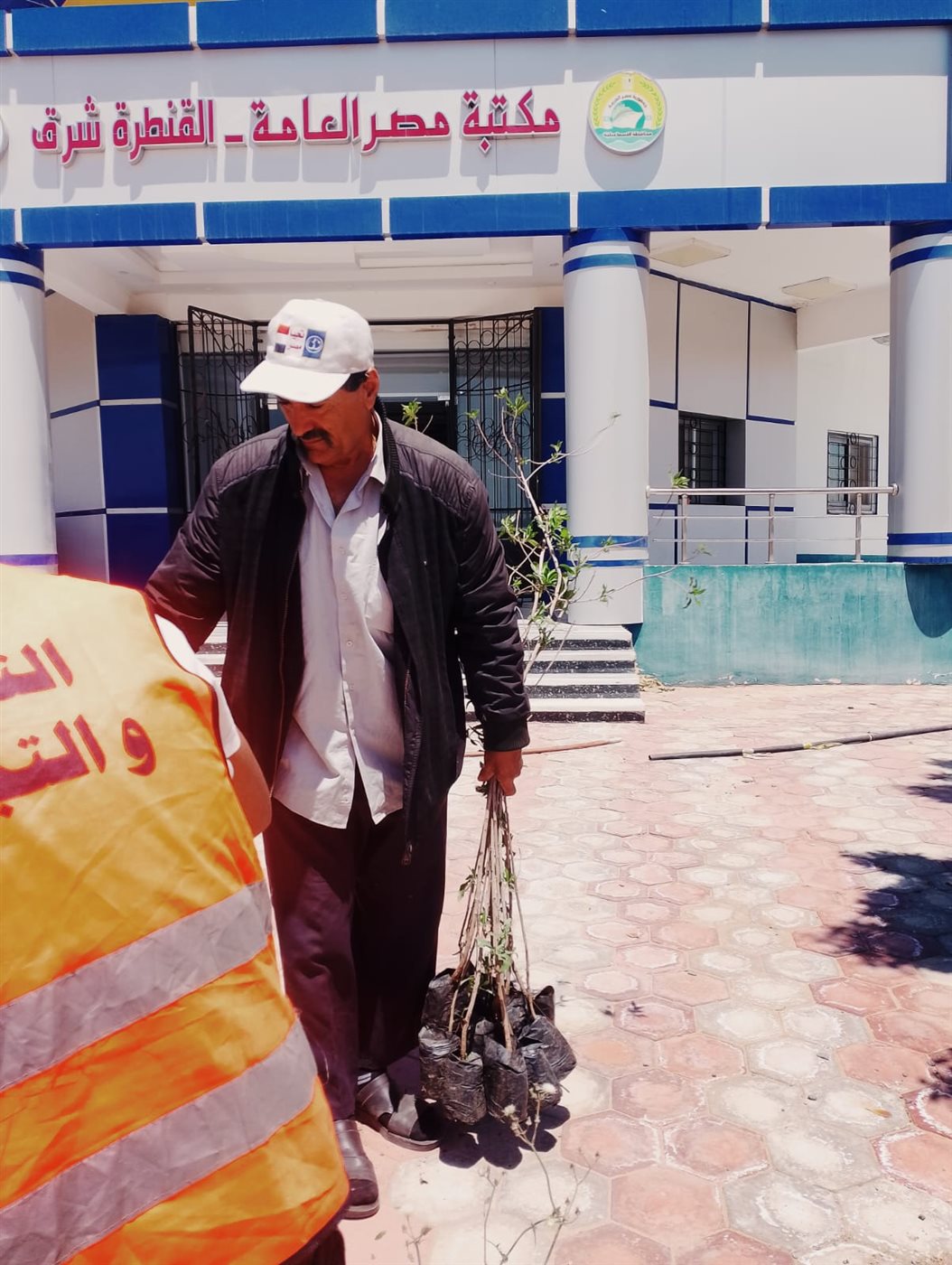 أعمال مبادرة زراعة الأشجار&nbsp;