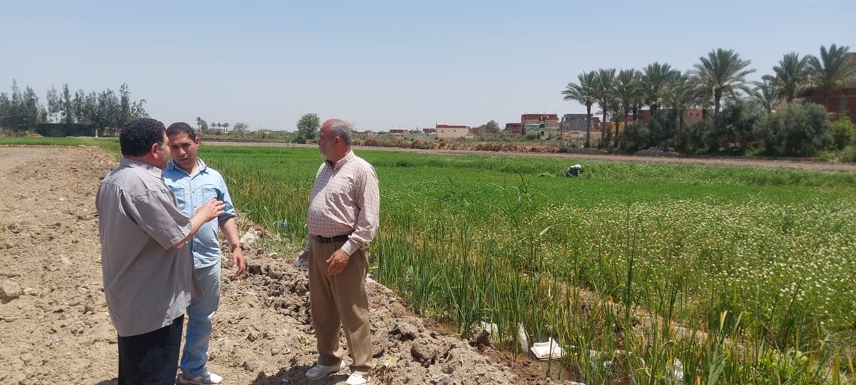 فاعليات القافلة