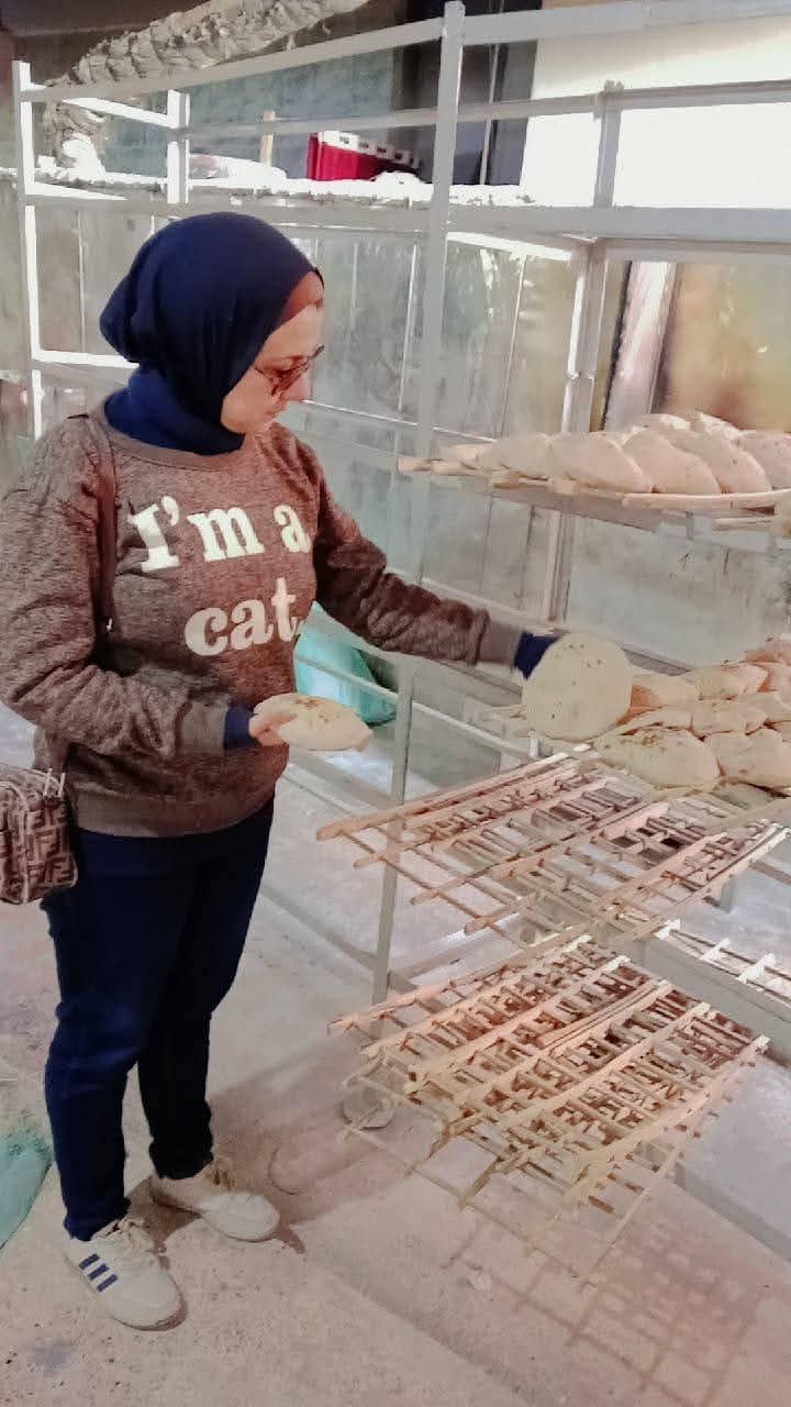 حملات رقابية مكبرة بالإسماعيلية
