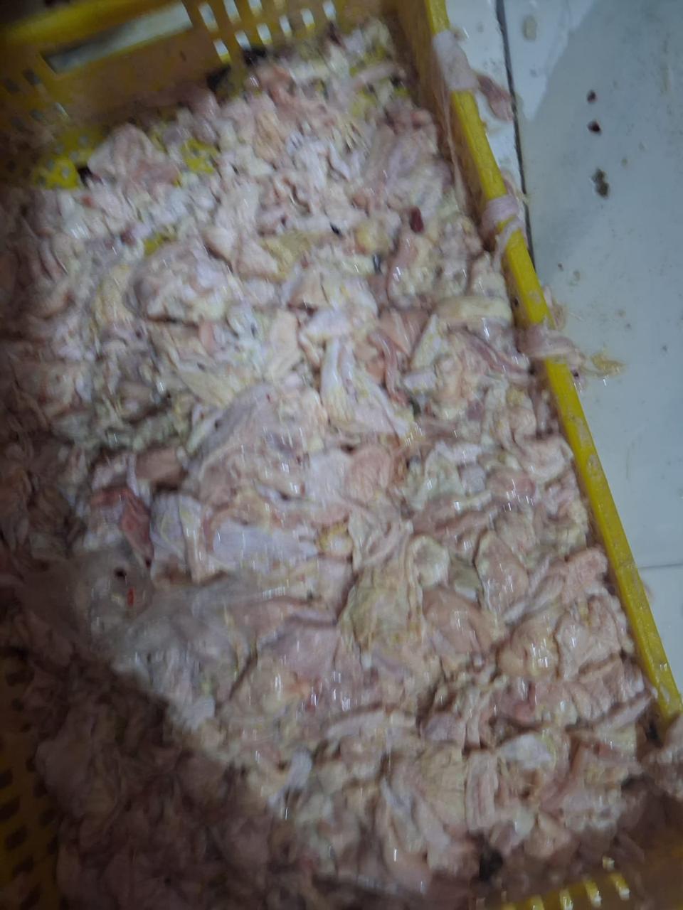 جانب من الحملة