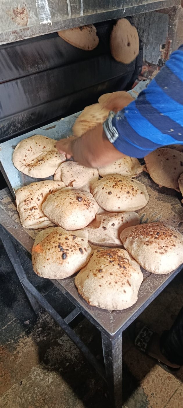 حملات التموين الرقابية بالإسماعيلية