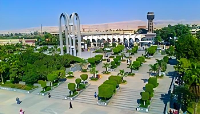 جامعة العاصمة