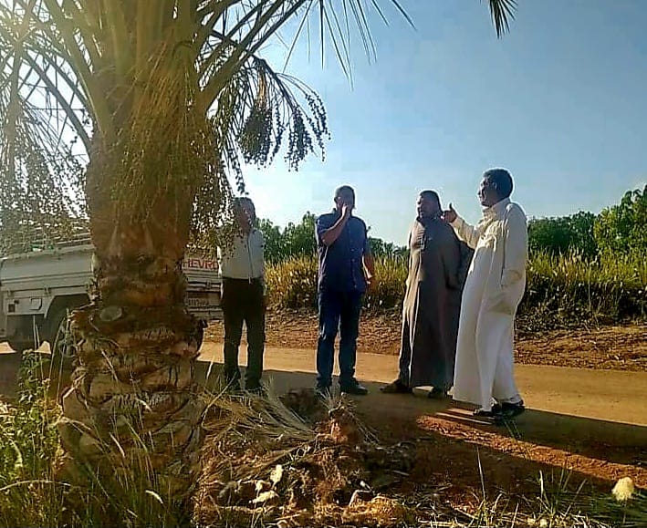 لجان متابعة الزراعات بالإسماعيلية