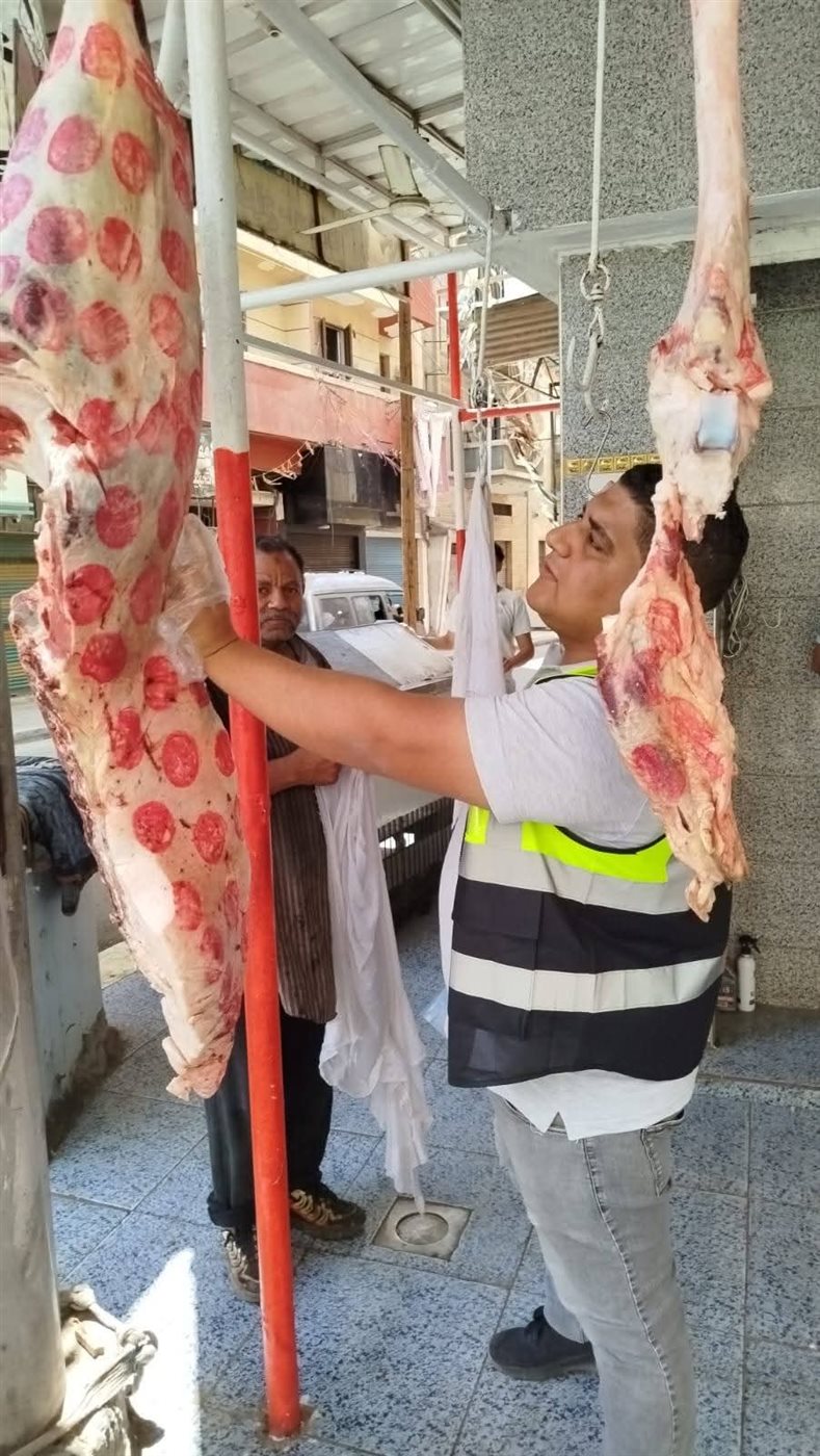 جانب من الحملات