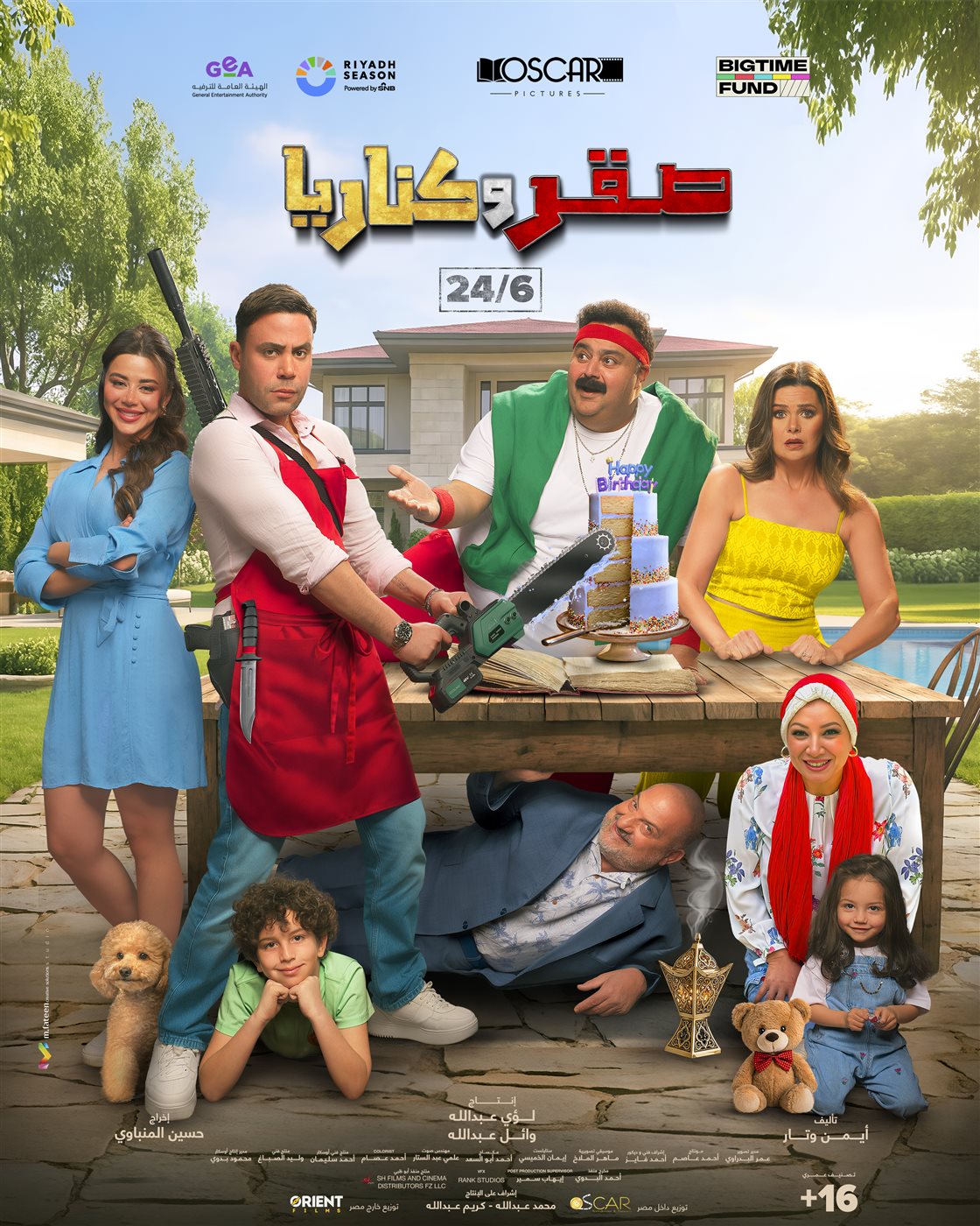 بوستر فيلم صقر وكناريا