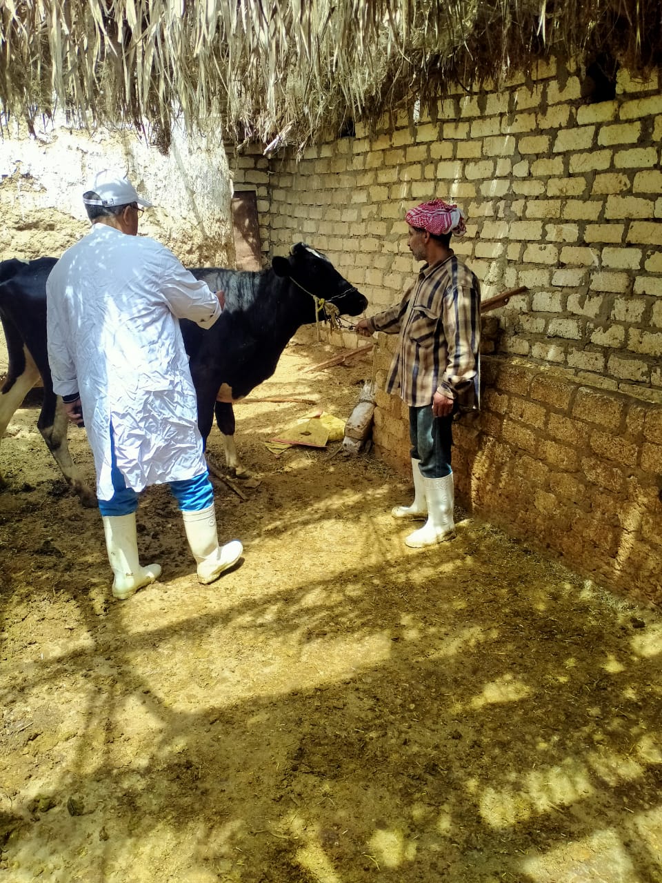 جانب من فاعليات حملة التحصين في محافظة الإسماعيلية