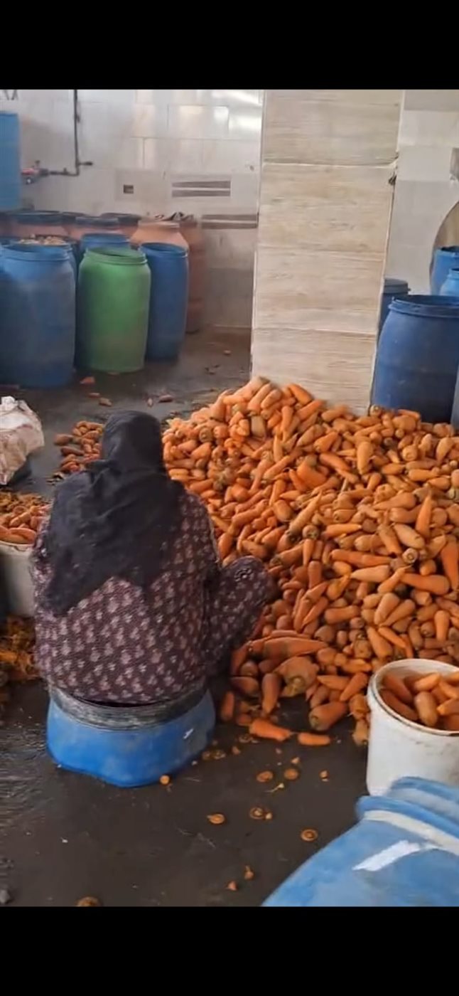 ضبط مخللات فاسدة بمصنع غير مرخص بالإسماعيلية