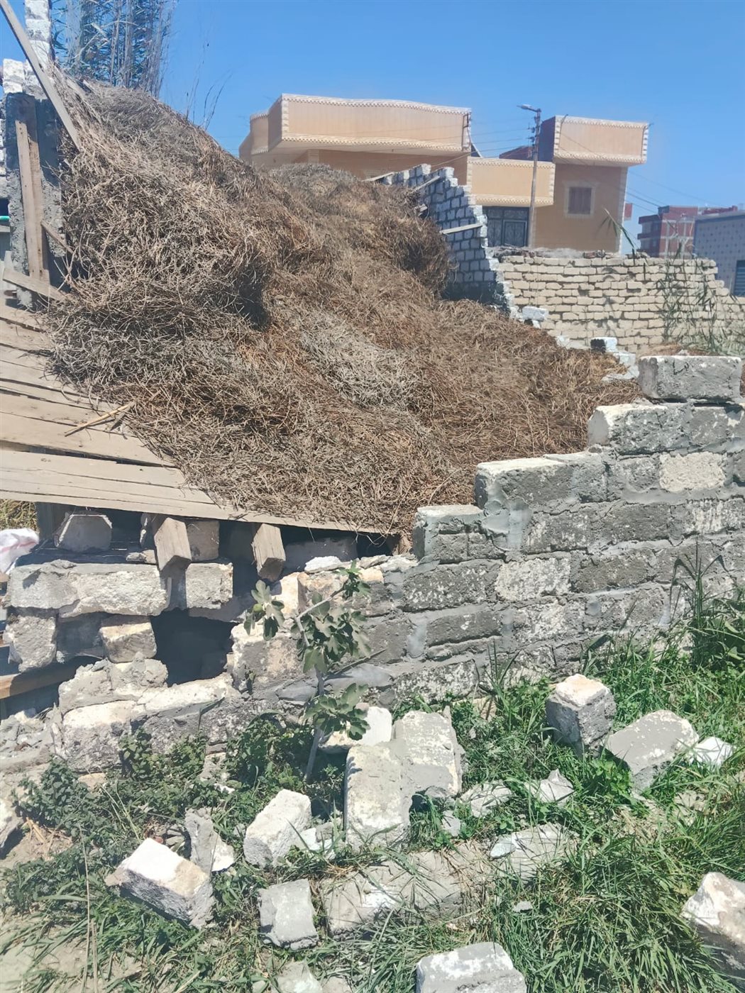 حملات إزالة التعديات بالإسماعيلية