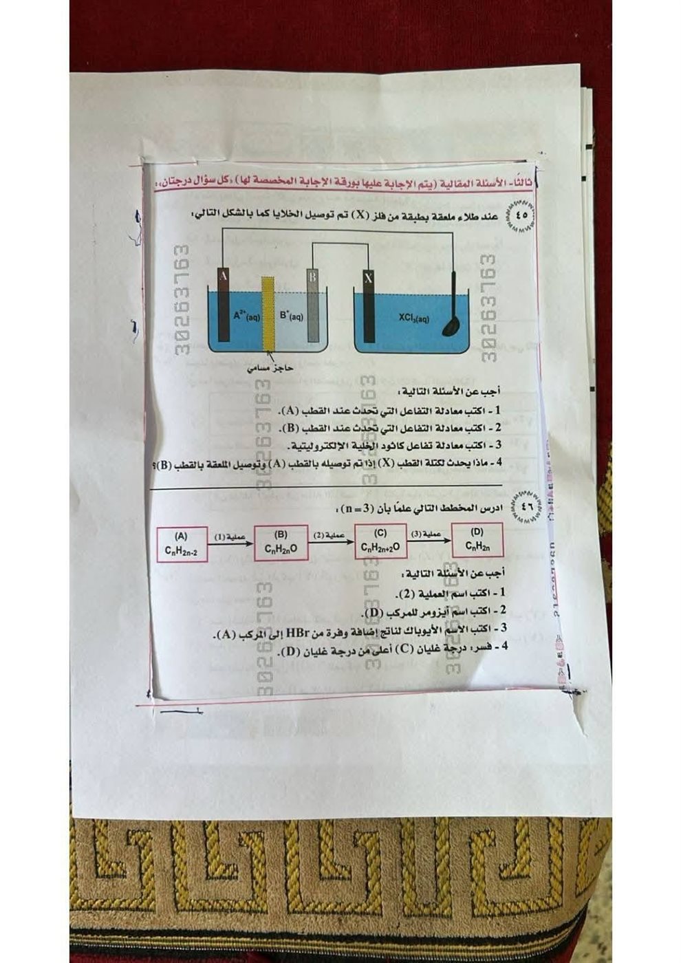 صورة امتحان الكيمياء 2026 على سجادة صلاة