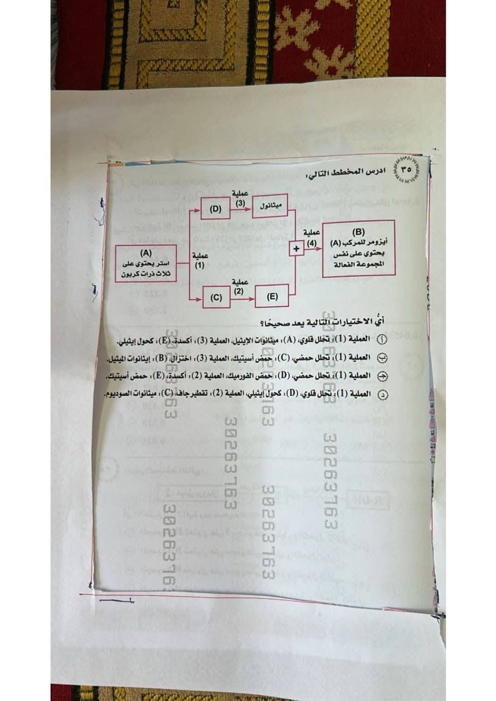 صورة امتحان الكيمياء 2026 على سجادة صلاة