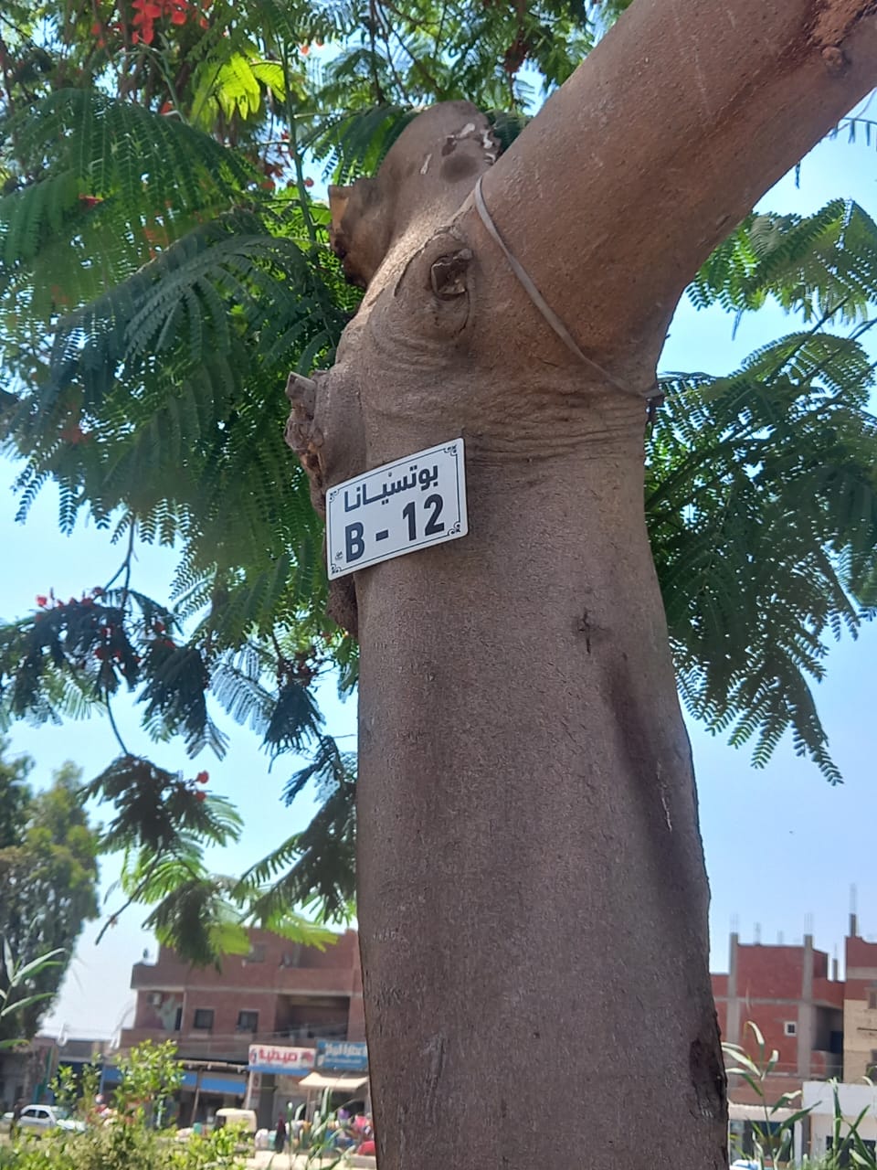 جانب من الجولة