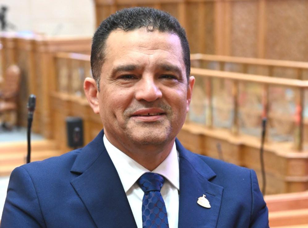 النائب أمير الجزار