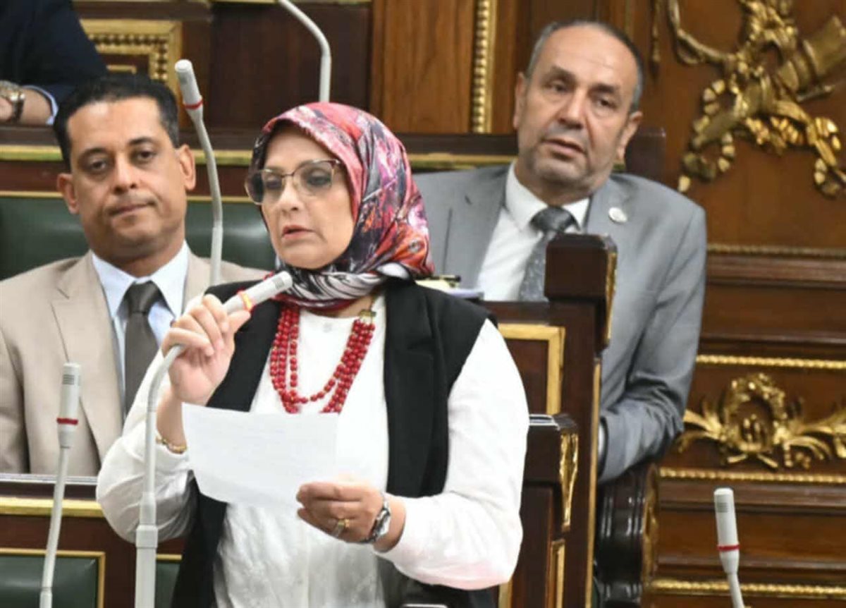 النائبة علاء العسيلي