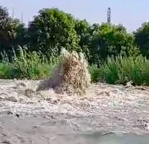 صورة من الحادث&nbsp;