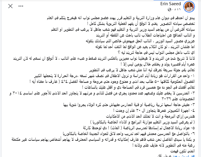 النائبة ايرين سعيد