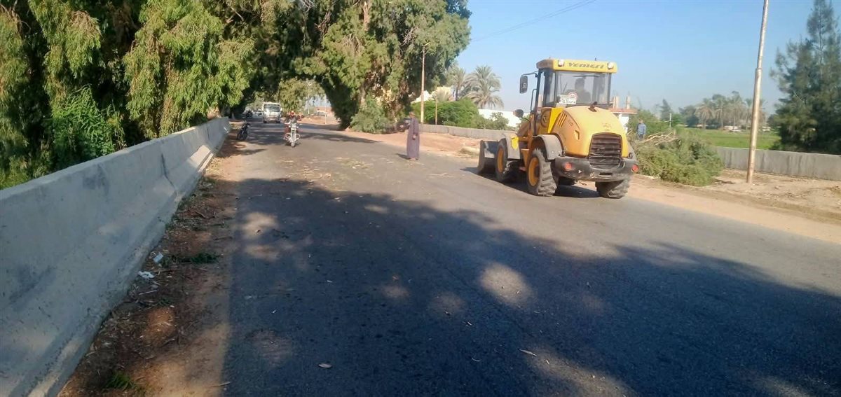 سقوط شجرة على طريق الإسماعيلية الزقازيق
