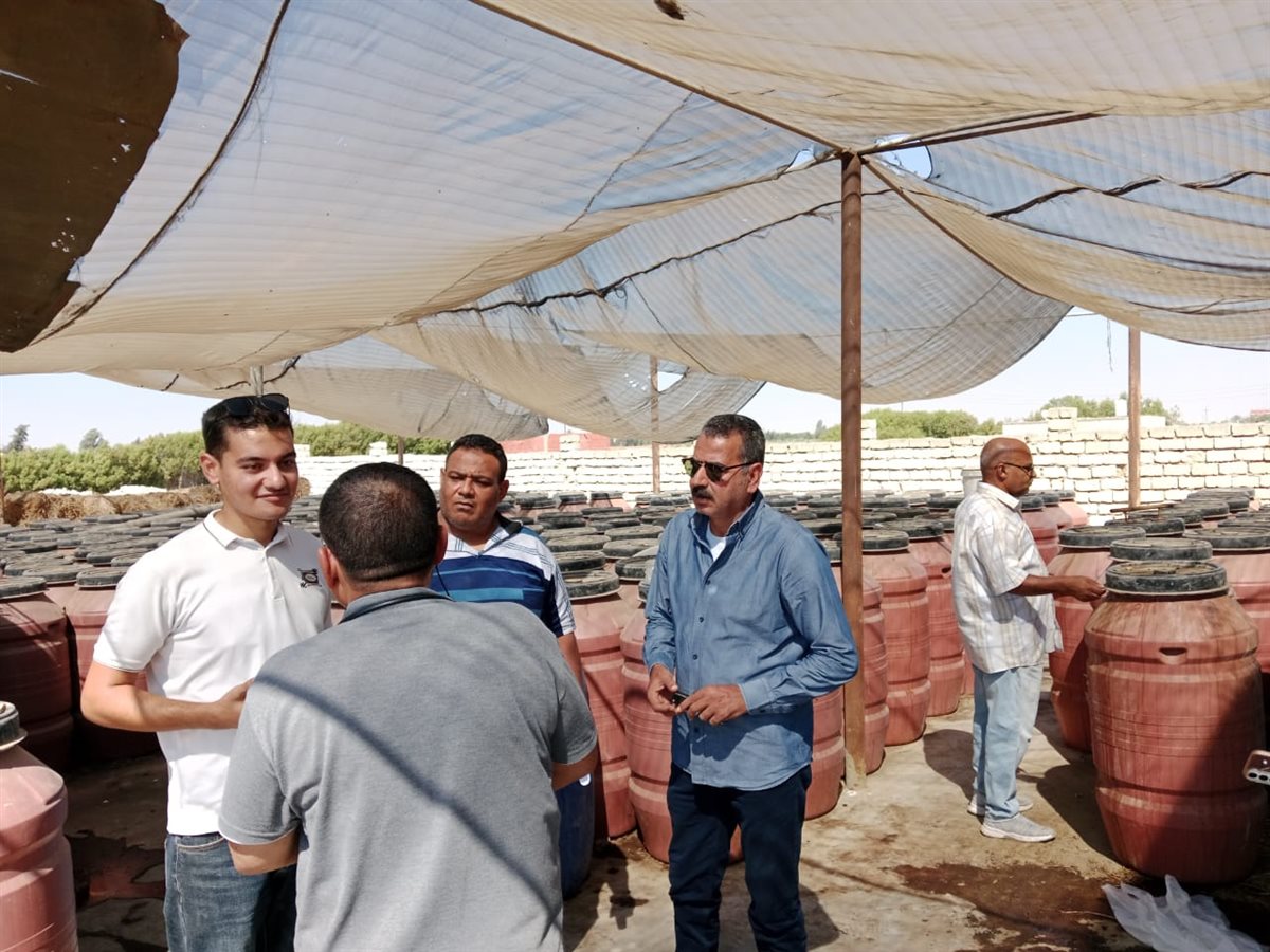 نتائج الحملة المكبرة