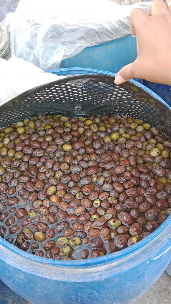 نتائج الحملة المكبرة