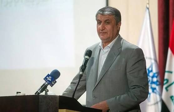 رئيس منظمة الطاقة الذرية الإيرانية محمد إسلامي